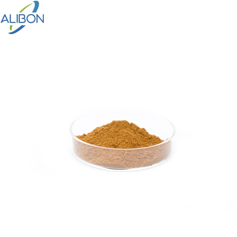 Alibon Supply Natural Reishi Mushroom Extract Water Soluble Ganoderma Lucidum Extract 30% Polysaccharide