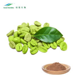 Green Coffee Bean Extract Factory - Water Soluble Chlorogenic Acid