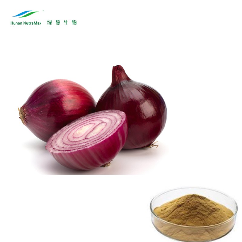 Onion Powder Manufacturer - Natural Vegetable Seasoning High Quality