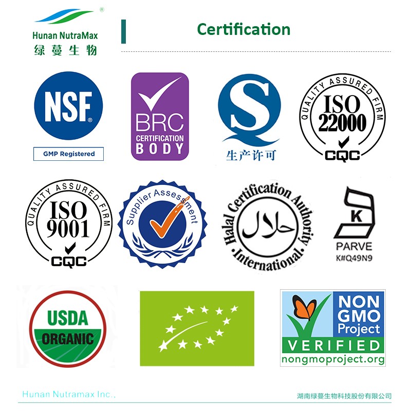 Blueberry Powder Supplier - Freeze Dried Juice Powder Drink