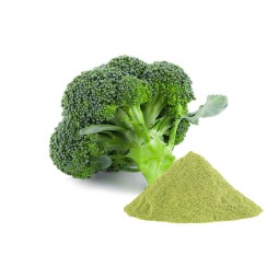 Broccoli Powder Supplier - 99% Vegan Vegetable Powder Food
