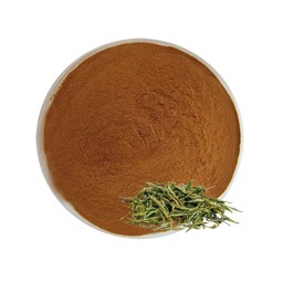 EGCG Powder Factory - 50% Green Tea Extract Cosmetic