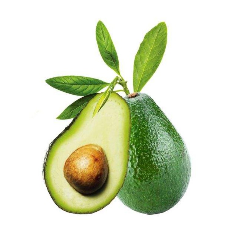 Avocado Powder Factory - Spray Dried Fruit Instant Powder
