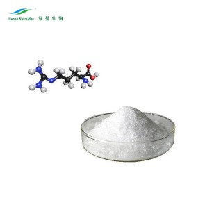 L-Arginine Powder Manufacturer - 99% Food Grade Bulk CAS 74-79-3