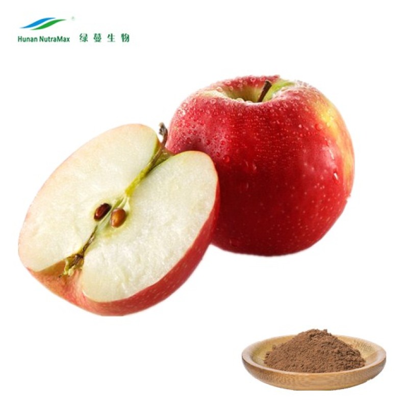 Apple Cider Vinegar Powder Manufacturer - 5% Acetic Acid Pure