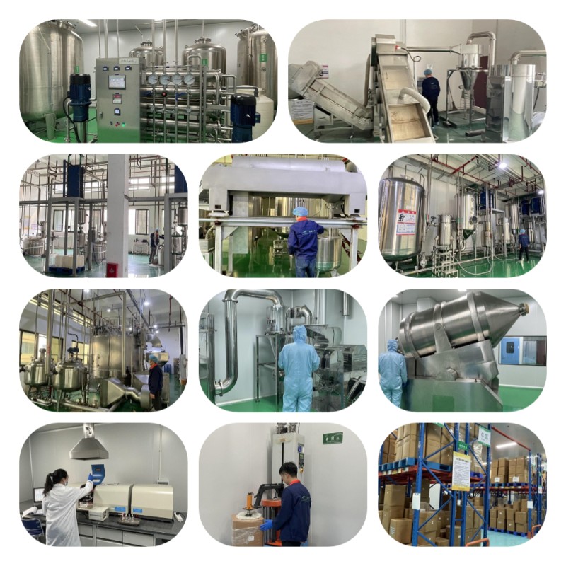 Brussels Sprout Powder Supplier - Water Soluble Juice Powder