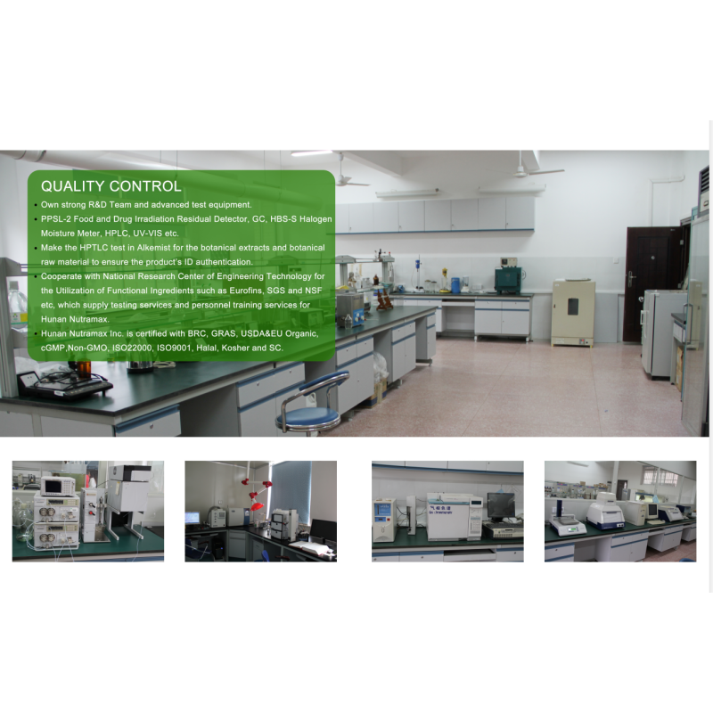 Griffonia Extract Powder Factory - 5 HTP Food Grade Bulk