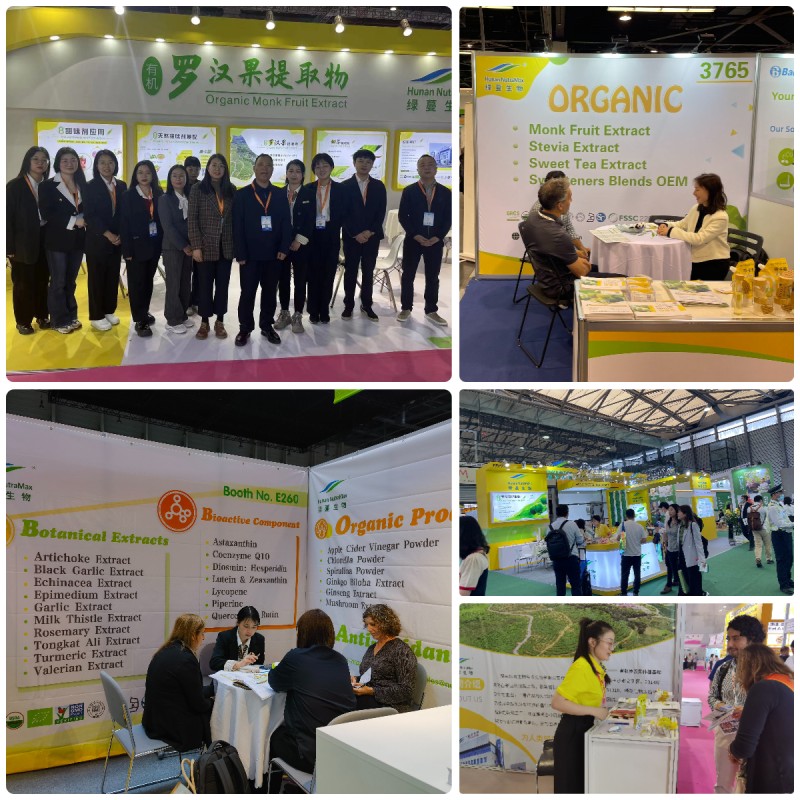 Liquid Monk Fruit Extract Manufacturer - Food Grade No Erythritol