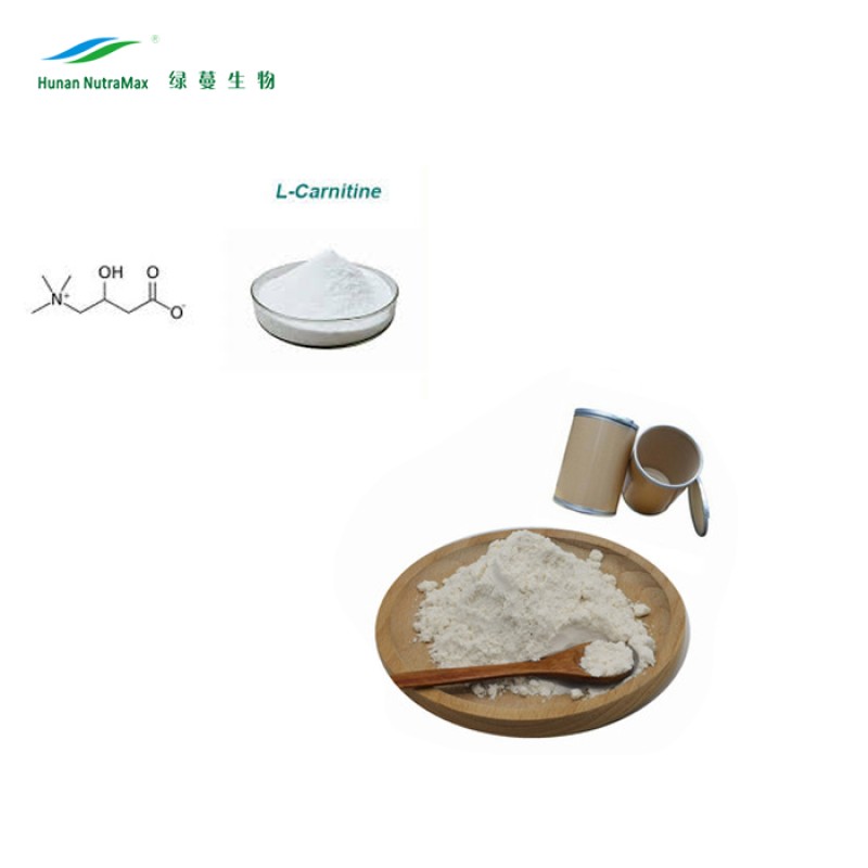 L-Carnitine Powder Supplier - HCl N-Acetyl Amino Acid