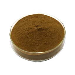 Cordyceps Extract Supplier - 40% Polysaccharides Mycelium Powder