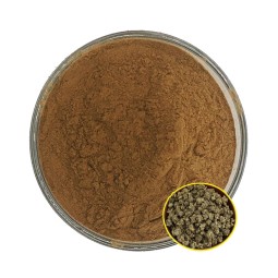 Cat's Claw Extract Manufacturer - 3% Alkaloids Immune Support