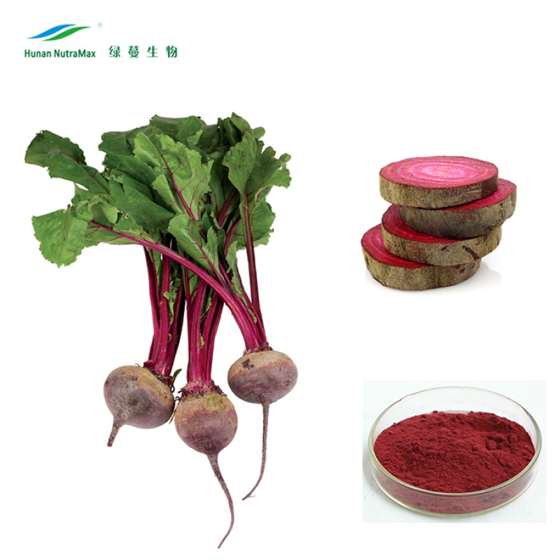 Red Beet Powder Factory - Juice Concentrate Extract Natural