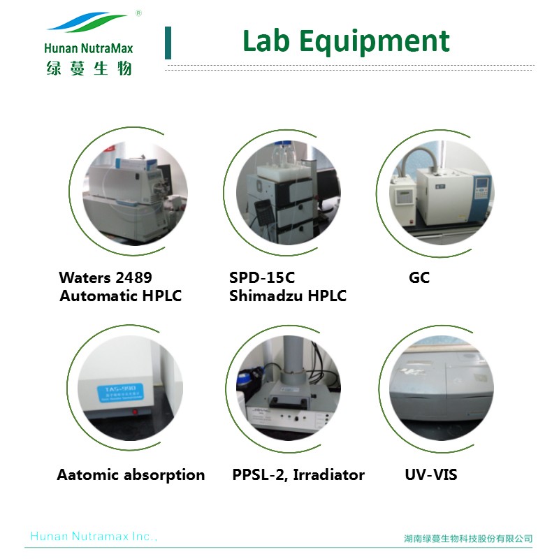 Spirulina Powder Manufacturer - Chlorella Spirulina Wholesale