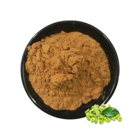Green Coffee Bean Extract Factory - 50% Chlorogenic Acid Vegan