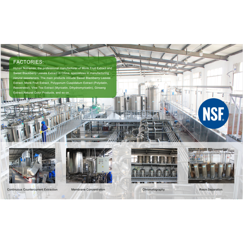 Monk Fruit Extract Supplier - 50% MV CGMP Manufacturer Supply