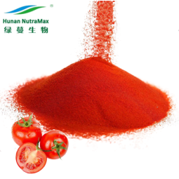 Tomato Extract Powder Supplier - 10% Lycopene Natural Powder