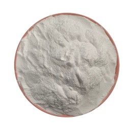 L-Lysine HCL Powder Manufacturer - 99% Food Additive 25kg/bag
