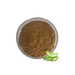 Aloin Extract Supplier - 20% Natural Aloe Vera Skin Care