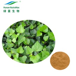 Ivy Extract Powder Factory - 100% Pure 4:1-20:1 Natural