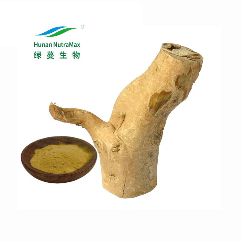 Tongkat Ali Extract Manufacturer - Plant Herbal Extract Powder