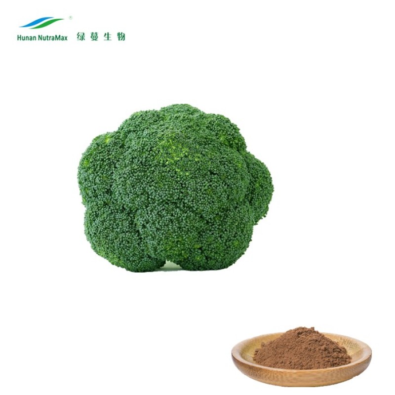 Broccoli Sprout Extract Factory - Sulforaphane Powder Natural