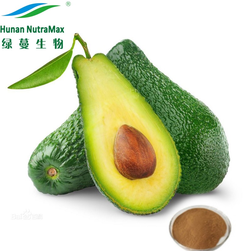 Avocado Powder Factory - Spray Dried Fruit Instant Powder