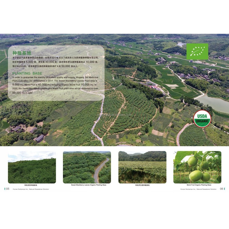 Monk Fruit Extract Supplier - 50% MV CGMP Manufacturer Supply