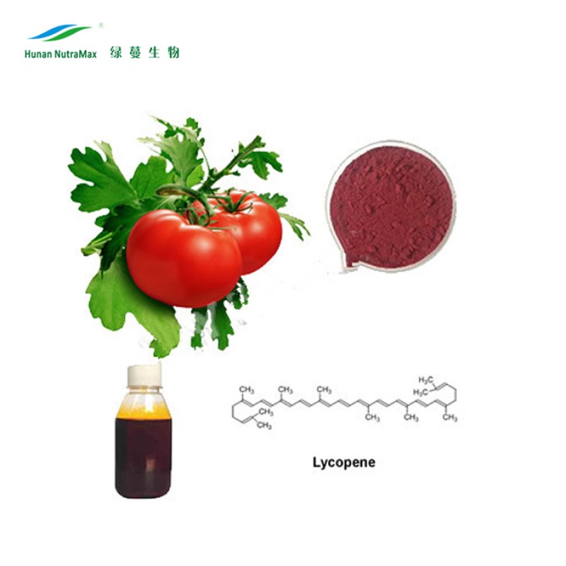 Tomato Extract Supplier - 10%-20% Lycopene Concentrate Powder