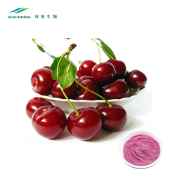 Acerola Cherry Extract Supplier - 17%-25% Vitamin C Powder