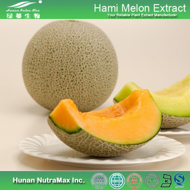 Cantaloupe Powder Supplier - Melon Extract Food Beverage