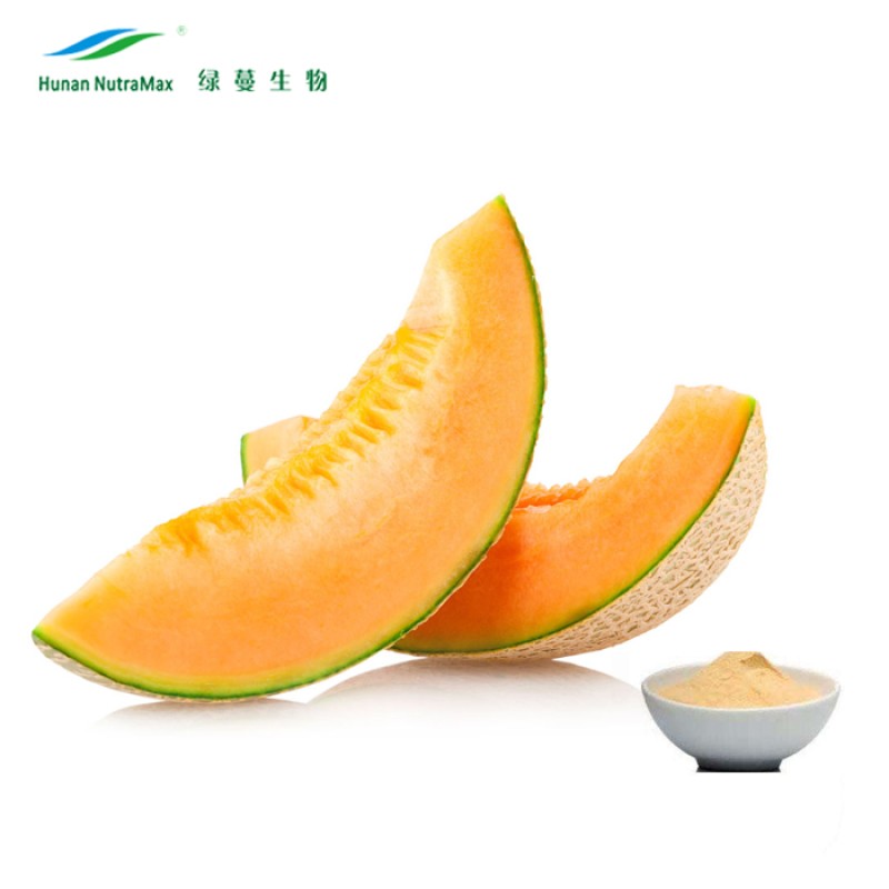 Cantaloupe Powder Supplier - Melon Extract Food Beverage