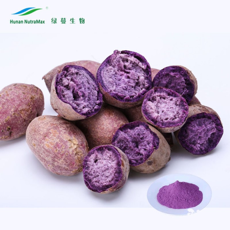 Purple Sweet Potato Powder Supplier - 100% Natural Food Color