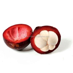 Mangosteen Extract Manufacturer - Mangostin 10%-90% Fruit Powder