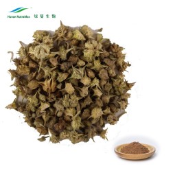 Tribulus Extract Manufacturer - 90% Protodioscin Saponins Powder