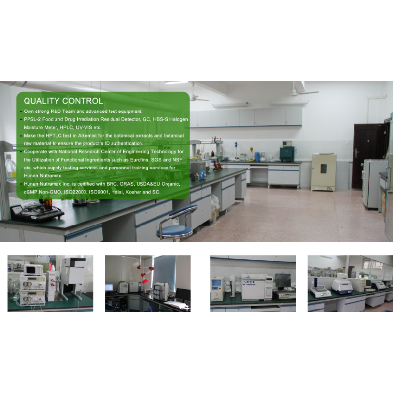 Gardenia Blue Powder Factory - Food Grade E30 E80 Extract