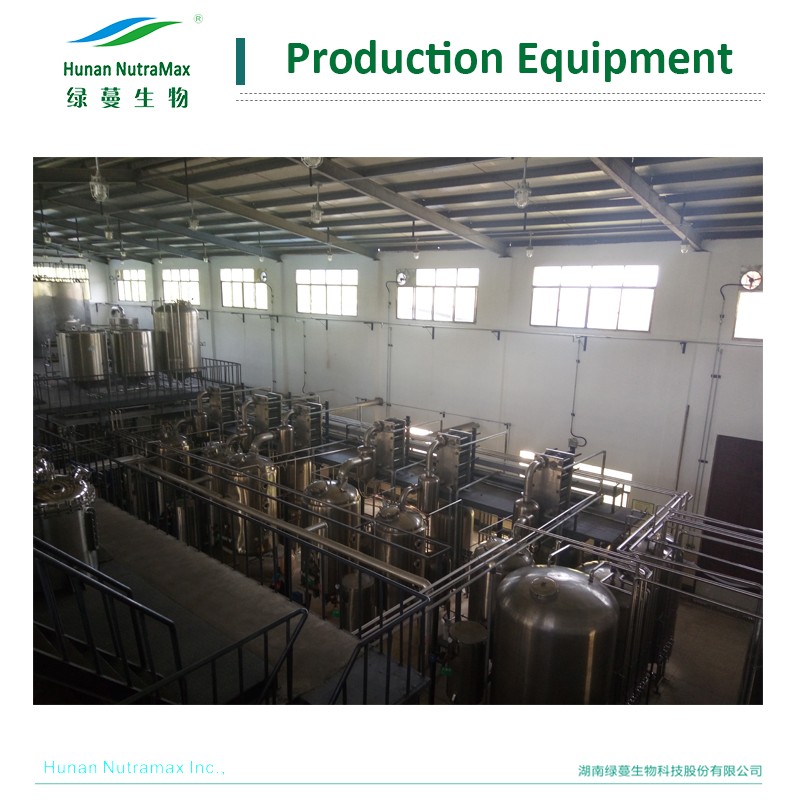 Stevia Leaf Extract Supplier - 60%-98% Rebaudioside A Powder