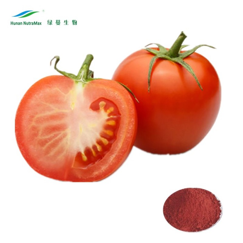 Tomato Extract Supplier - 10%-20% Lycopene Concentrate Powder