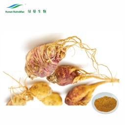 Maca Extract Supplier - Herbal Organic Wholesale Powder