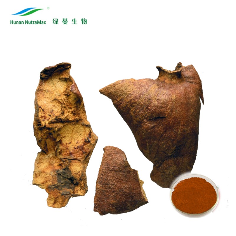 Pomegranate Juice Concentrate Supplier - Brix 65-70 Health Food