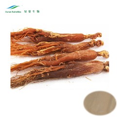 Red Ginseng Extract Supplier - Ginsenosides Powder Natural