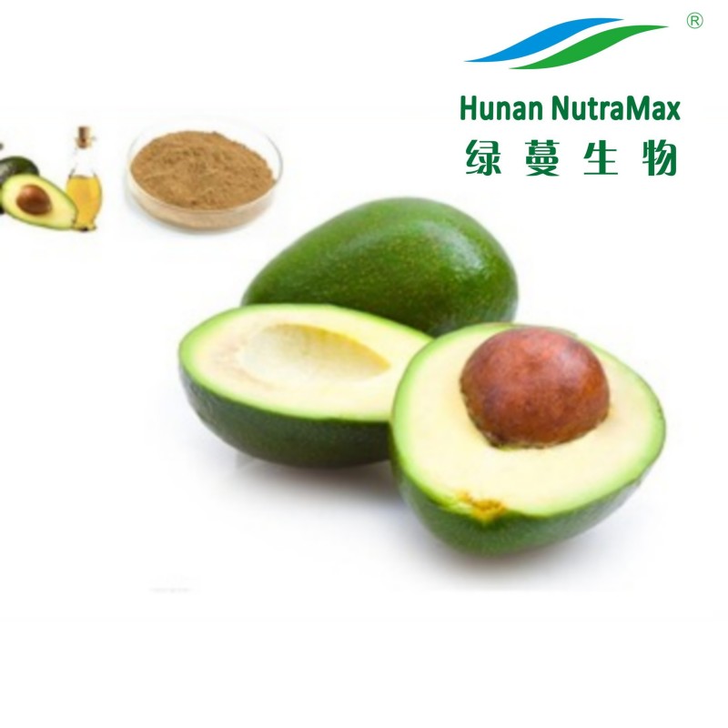 Avocado Powder Factory - Spray Dried Fruit Instant Powder