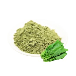 Spinach Powder Factory - Green Vegetable Food Ingredient