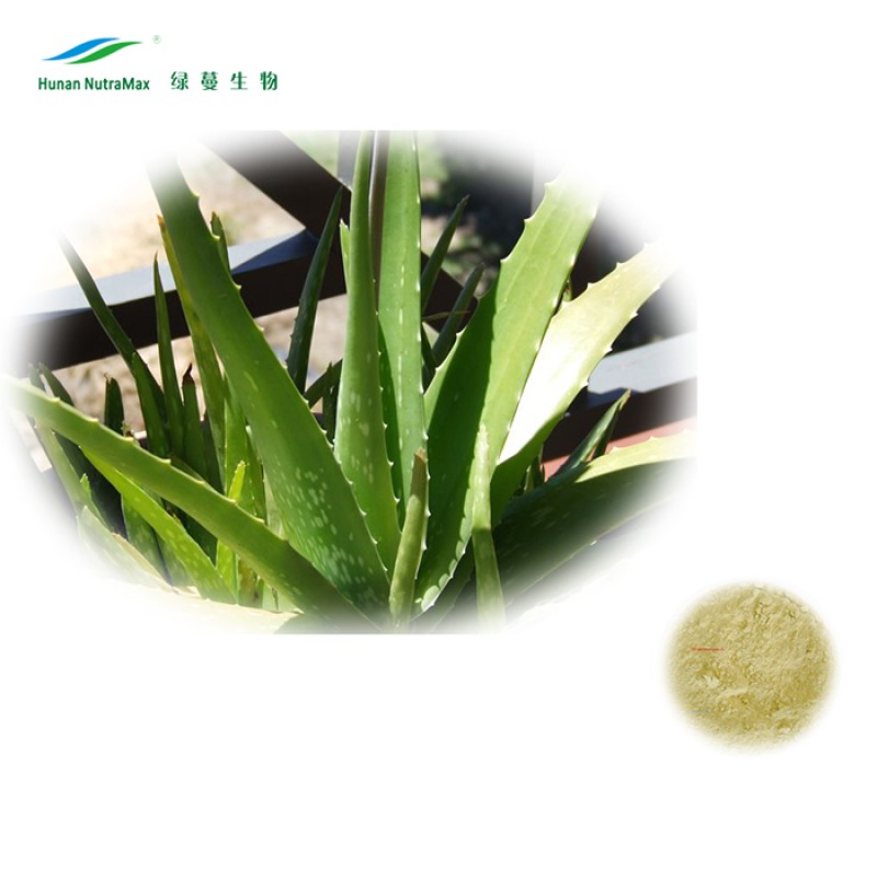 Aloe Vera Gel Powder Supplier - 100:1 Freeze Dried Extract