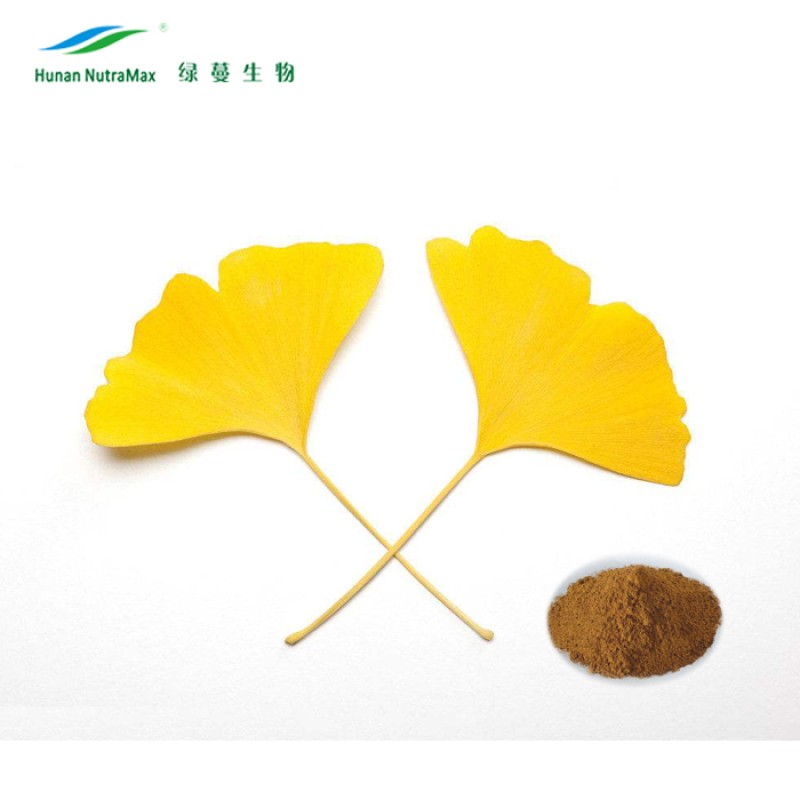 Ginkgo Biloba Extract Manufacturer - Natural Supplement Capsule Ingredient