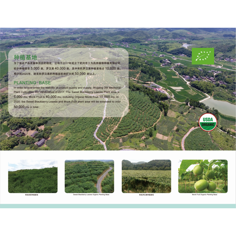 Garcinia Cambogia Extract Factory - 50%-70% HCA Powder CGMP