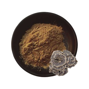 Turkey Tail Mushroom Extract Supplier - 50% Polysaccharides Health Food