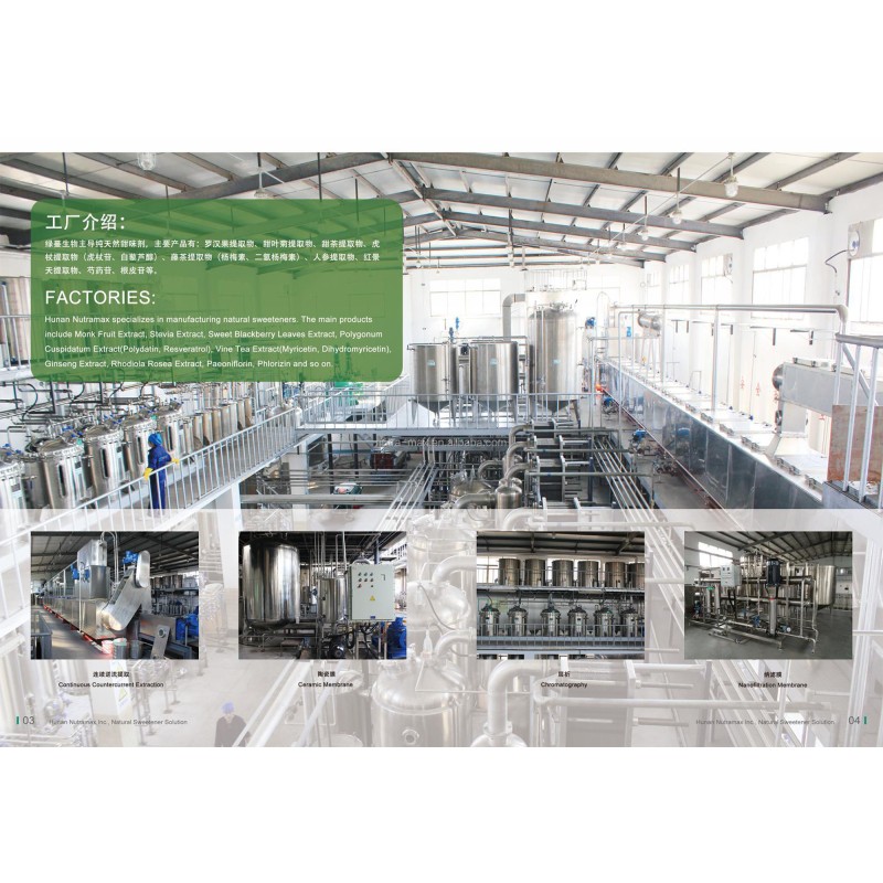 Panax Ginseng Extract Powder Factory - 60% Ginsenosides HPLC