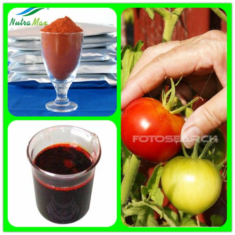 Lycopene Powder Manufacturer - 5%-20% Tomato Extract Beadlet