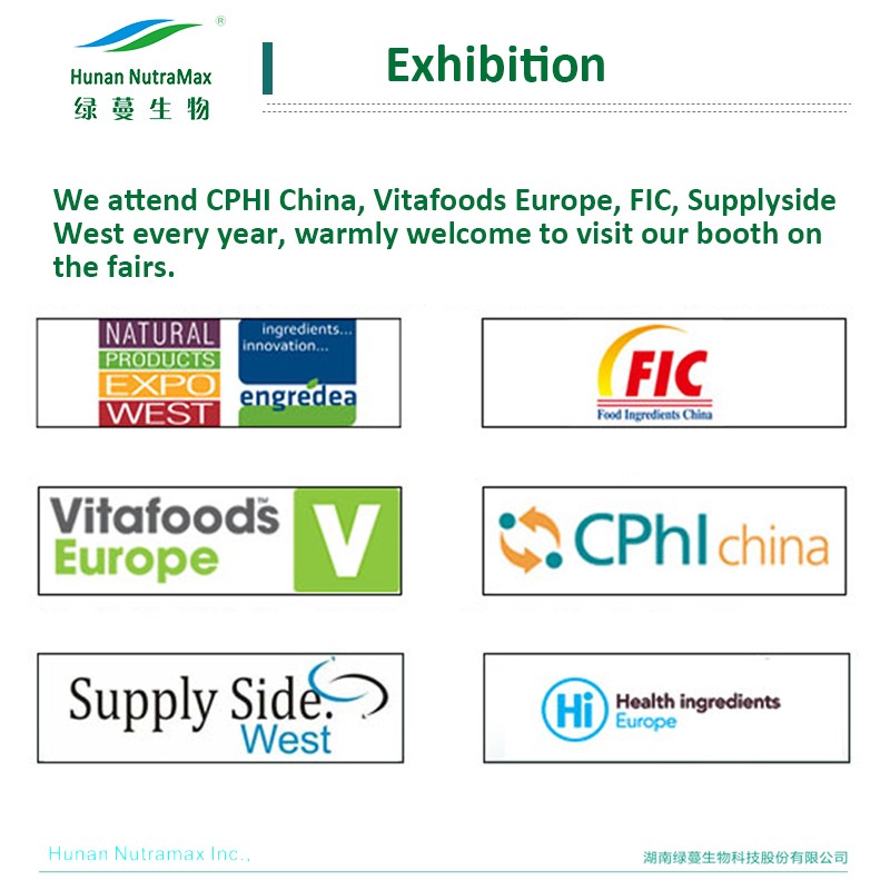 Mimosa Extract Supplier - Powder P.E. Natural Plant Extract