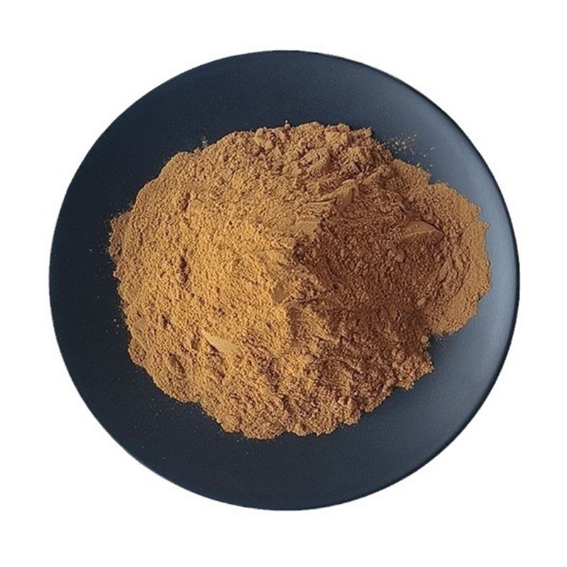 Black Fungus Extract Powder Factory - 50% Polysaccharides Healthcare